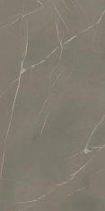 Laminam In-Side Pietra Piasentina Grigio Fiammato 20mm 162x324 / Ламинам Ин-Сиде
 Петра Пясентина Гриджио Фиаммато
 20mm 162x324 